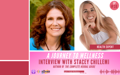A Journey To Wellness – Interview with Stacey Chillemi