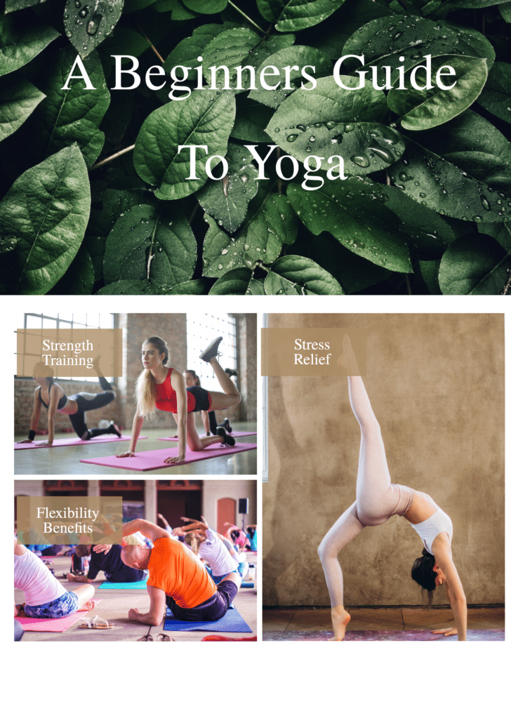 A Beginners Guide To Yoga
